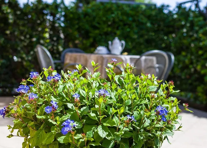 Stana Апартаменты